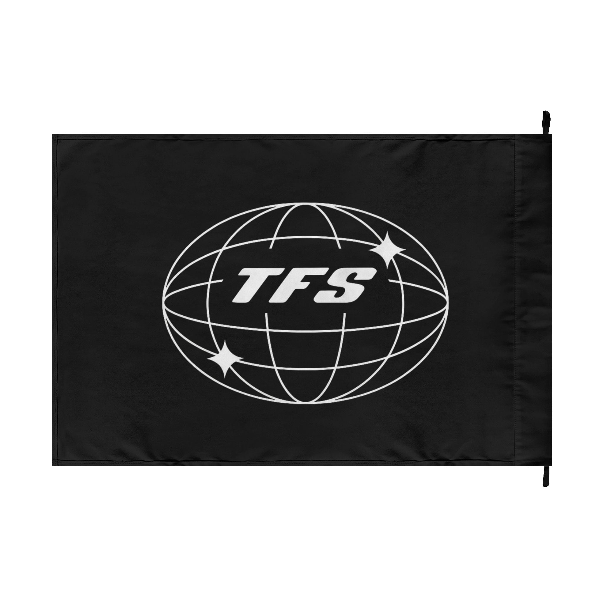 TFS Globe Logo Flag